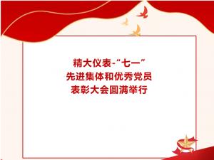 精大儀表“七一”先進(jìn)集體和優(yōu)秀黨員表彰大會(huì )圓滿(mǎn)舉行